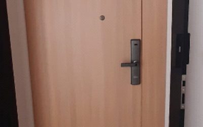 SLR Main Door @ Compassvale Crescent